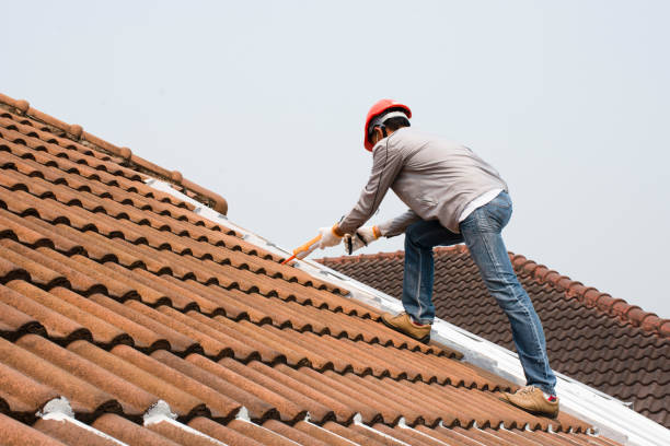 Professional Roofing services in Coatesville, PA